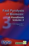 Fast Pyrolysis of Biomass