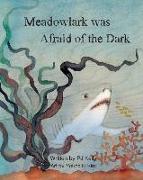 Meadowlark was Afraid of the Dark!