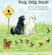 DOG, DOG, DUCK!