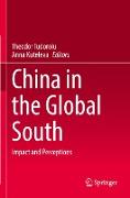 China in the Global South