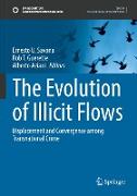 The Evolution of Illicit Flows