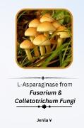L-Asparaginase from Fusarium & Colletotrichum Fungi