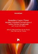 Boundary Layer Flows