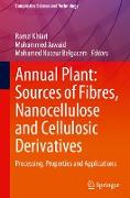 Annual Plant: Sources of Fibres, Nanocellulose and Cellulosic Derivatives