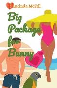 Big Package for Bunny