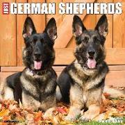 Just German Shepherds 2024 12 X 12 Wall Calendar