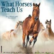 What Horses Teach Us 2024 12 X 12 Wall Calendar