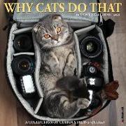 Why Cats Do That 2024 12 X 12 Wall Calendar