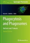 Phagocytosis and Phagosomes