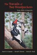 The Travails of Two Woodpeckers: Ivory-Bills & Imperials