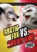 Arctic Fox vs. Snowy Owl