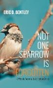 Not One Sparrow Is Forgotten