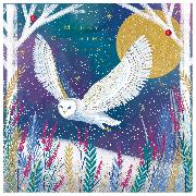 Doppelkarte. Wild Winter - Christmas/Flying Owl