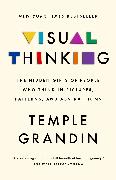 Visual Thinking