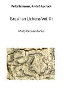 Brazilian Lichens Vol. III