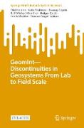 GeomInt¿Discontinuities in Geosystems From Lab to Field Scale