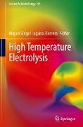 High Temperature Electrolysis