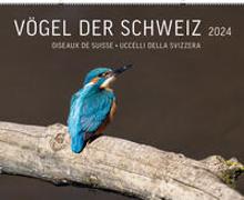 Vögel der Schweiz 2024