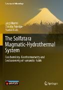 The Solfatara Magmatic-Hydrothermal System