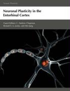 Neuronal Plasticity in the Entorhinal Cortex