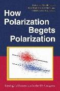 How Polarization Begets Polarization