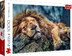 Der schlafende Löwe