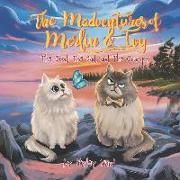 The Madventures of Merlin and Ivy: The Good, The Bad, and The Grumpy