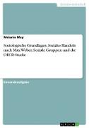 Soziologische Grundlagen. Soziales Handeln nach Max Weber, Soziale Gruppen und die OECD-Studie