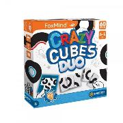 Crazy Cubes Duo