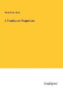 A Treatise on Magnetism