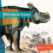 Rhinoceroses