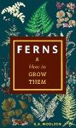 Ferns & How to Grow Them