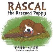 Rascal the Rescued Puppy