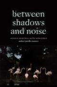 Between Shadows and Noise