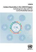 Carbon Neutrality in the Unece Region: Technology Interplay Under the Carbon Neutrality Concept
