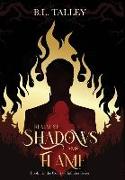 Realm of Shadows and Flame: Book 1 in the Court of Infinites Series