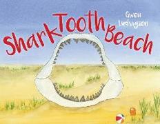 Shark Tooth Beach