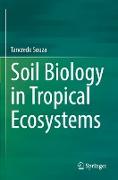 Soil Biology in Tropical Ecosystems