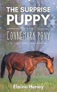 The Surprise Puppy and the Connemara Pony - The Coral Cove Horses Series