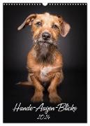 Hunde-Augen-Blicke (Wandkalender 2024 DIN A3 hoch), CALVENDO Monatskalender