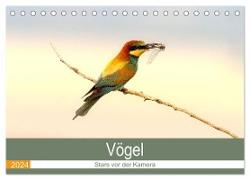 Vögel Stars vor der Kamera (Tischkalender 2024 DIN A5 quer), CALVENDO Monatskalender