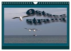 Ostsee-Strand (Wandkalender 2024 DIN A4 quer), CALVENDO Monatskalender