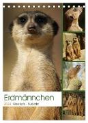 Erdmännchen-Meerkats-Surikate (Tischkalender 2024 DIN A5 hoch), CALVENDO Monatskalender