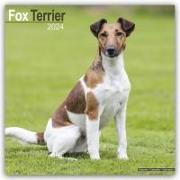 Fox Terrier - Foxterrier 2024 - 16-Monatskalender