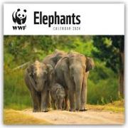 WWF Elephants - Elefanten 2024