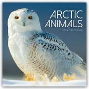 WWF Arktic Animals - Arktische Tierwelt 2024