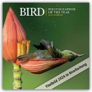 Bird Photographer Of The Year Square Wall Calendar 2024