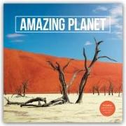 Amazing Planet Square Wall Calendar 2024