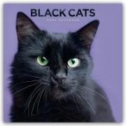 Black Cats - Schwarze Katzen 2024