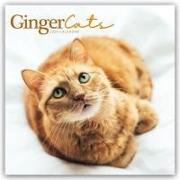 Ginger Cats Square Wall Calendar 2024